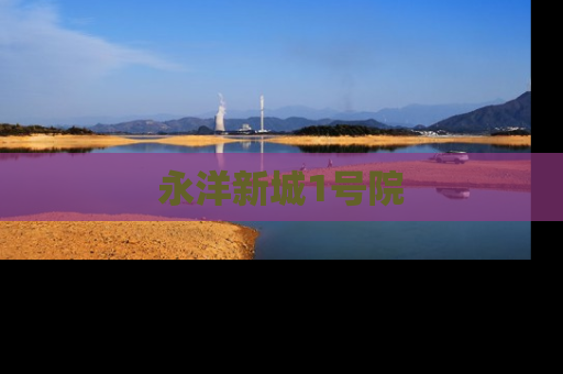 永洋新城1号院