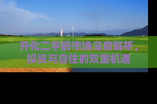 开化二手房市场深度解析，投资与自住的双重机遇