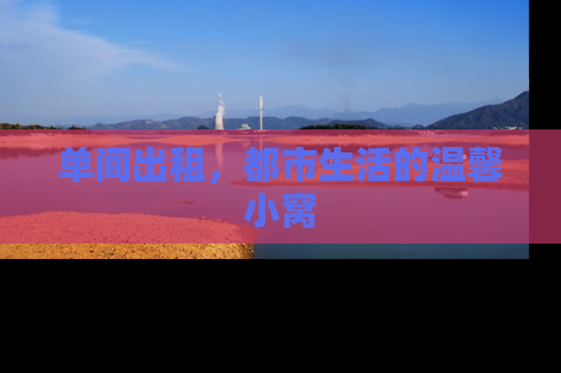 单间出租，都市生活的温馨小窝