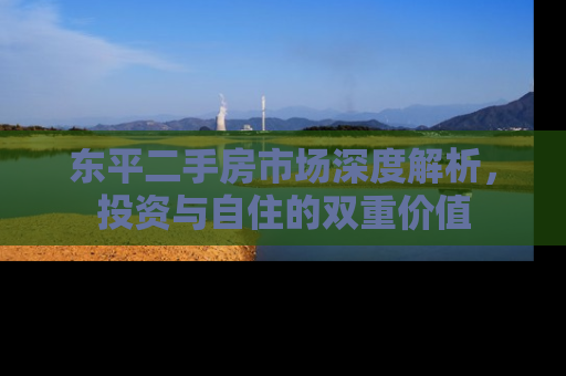 东平二手房市场深度解析，投资与自住的双重价值