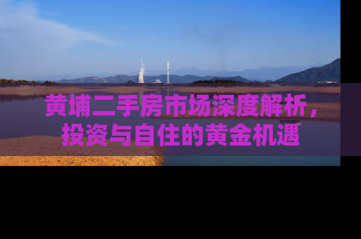 黄埔二手房市场深度解析，投资与自住的黄金机遇