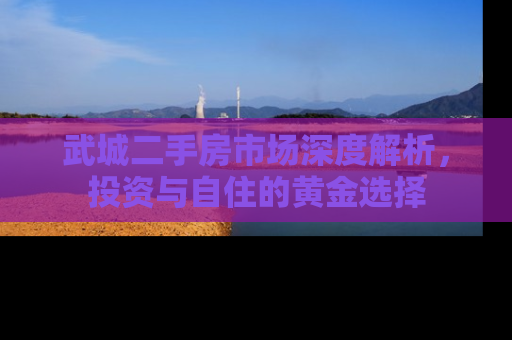 武城二手房市场深度解析，投资与自住的黄金选择