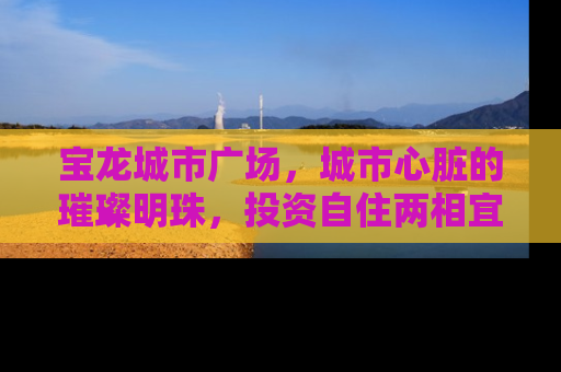 宝龙城市广场，城市心脏的璀璨明珠，投资自住两相宜的理想居所