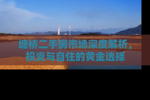 塘桥二手房市场深度解析，投资与自住的黄金选择