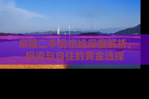 阜阳二手房市场深度解析，投资与自住的黄金选择
