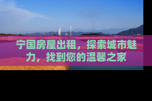 宁国房屋出租，探索城市魅力，找到您的温馨之家