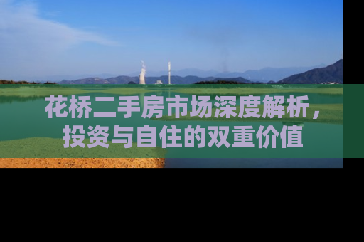花桥二手房市场深度解析，投资与自住的双重价值