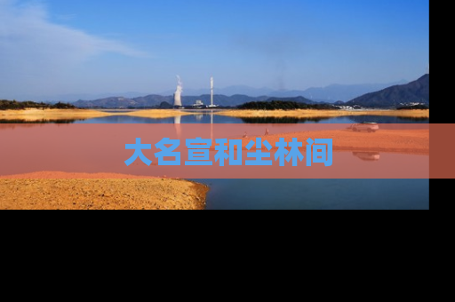 大名宣和尘林间