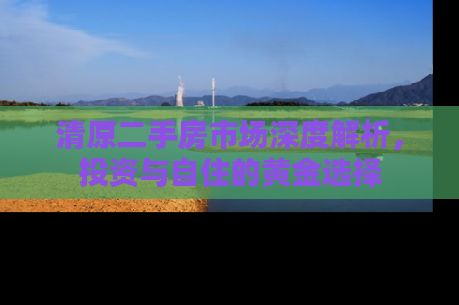 清原二手房市场深度解析，投资与自住的黄金选择