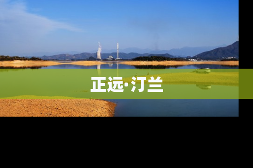 正远·汀兰