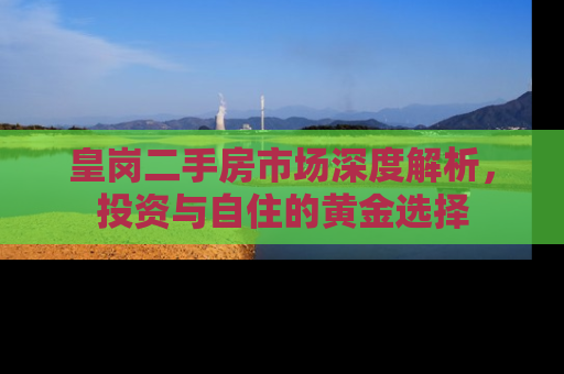 皇岗二手房市场深度解析，投资与自住的黄金选择