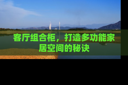 客厅组合柜，打造多功能家居空间的秘诀