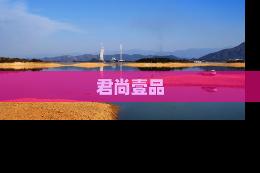 君尚壹品