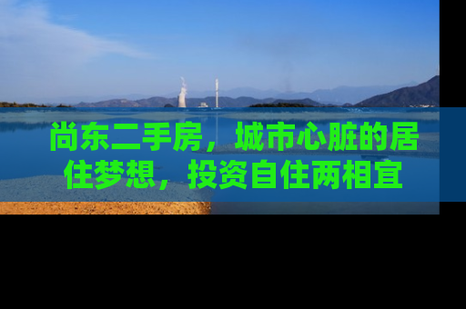 尚东二手房，城市心脏的居住梦想，投资自住两相宜