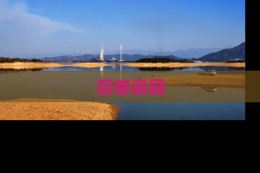 丽都嘉园