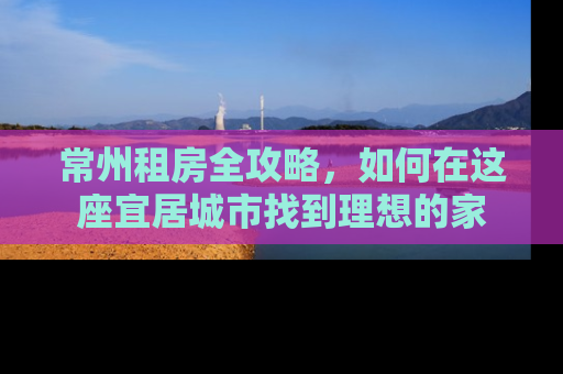 常州租房全攻略，如何在这座宜居城市找到理想的家