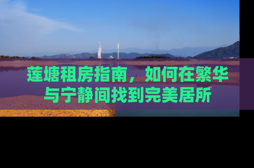 莲塘租房指南，如何在繁华与宁静间找到完美居所
