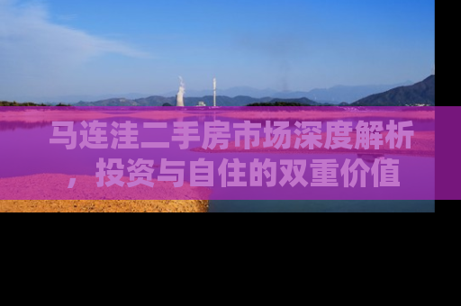 马连洼二手房市场深度解析，投资与自住的双重价值