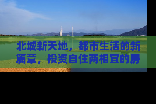 北城新天地，都市生活的新篇章，投资自住两相宜的房产新宠