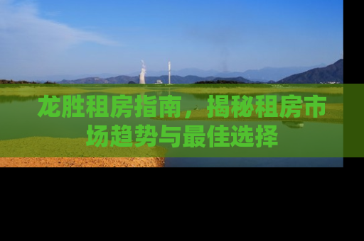 龙胜租房指南，揭秘租房市场趋势与最佳选择