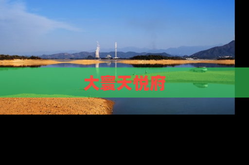 大寰天悦府