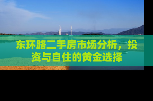 东环路二手房市场分析，投资与自住的黄金选择