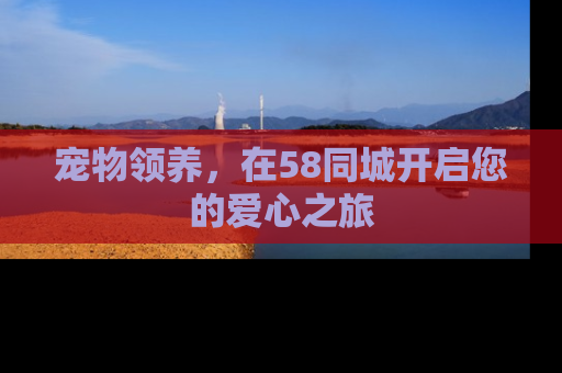 宠物领养，在58同城开启您的爱心之旅
