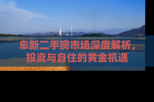 阜新二手房市场深度解析，投资与自住的黄金机遇