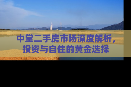 中堂二手房市场深度解析，投资与自住的黄金选择