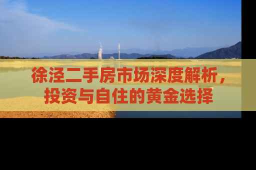 徐泾二手房市场深度解析，投资与自住的黄金选择