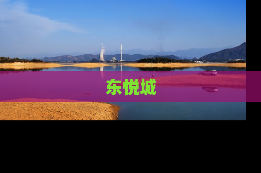 东悦城