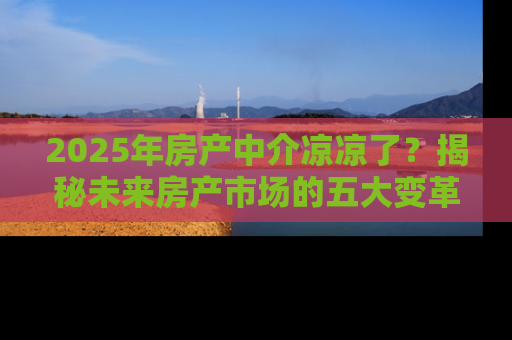 2025年房产中介凉凉了？揭秘未来房产市场的五大变革