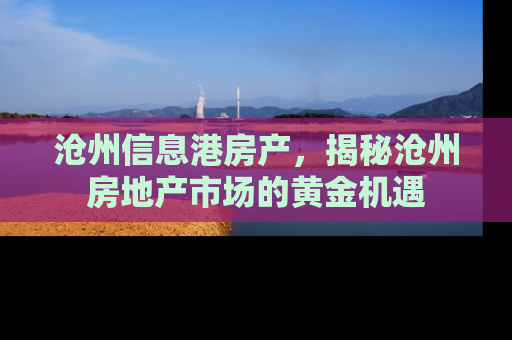 沧州信息港房产，揭秘沧州房地产市场的黄金机遇
