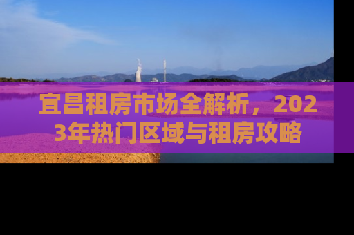 宜昌租房市场全解析，2023年热门区域与租房攻略