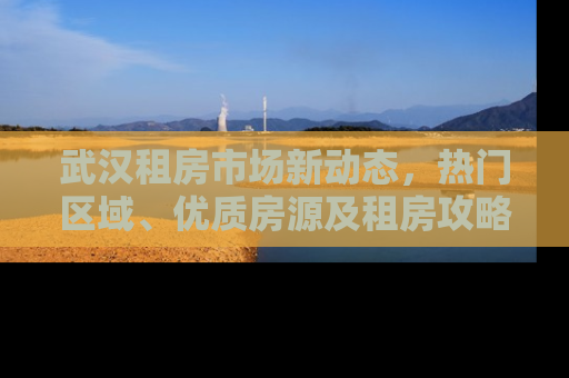武汉租房市场新动态，热门区域、优质房源及租房攻略