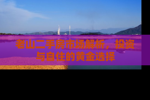 老山二手房市场解析，投资与自住的黄金选择