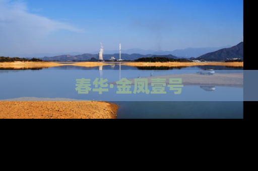 春华·金凤壹号