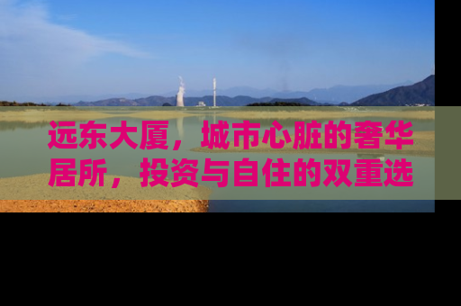 远东大厦，城市心脏的奢华居所，投资与自住的双重选择