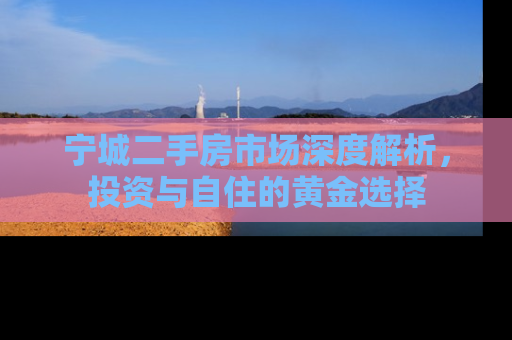 宁城二手房市场深度解析，投资与自住的黄金选择