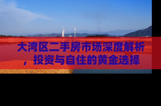 大湾区二手房市场深度解析，投资与自住的黄金选择