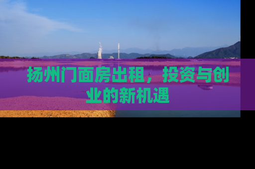 扬州门面房出租，投资与创业的新机遇