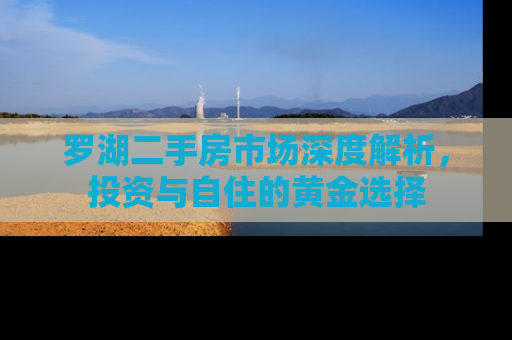 罗湖二手房市场深度解析，投资与自住的黄金选择