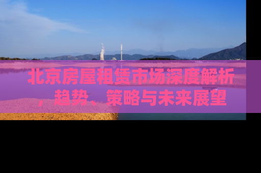 北京房屋租赁市场深度解析，趋势、策略与未来展望