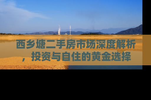 西乡塘二手房市场深度解析，投资与自住的黄金选择