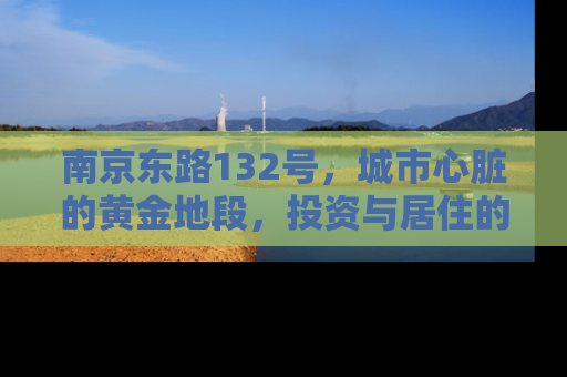 南京东路132号，城市心脏的黄金地段，投资与居住的理想选择