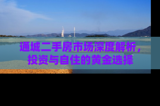 通城二手房市场深度解析，投资与自住的黄金选择