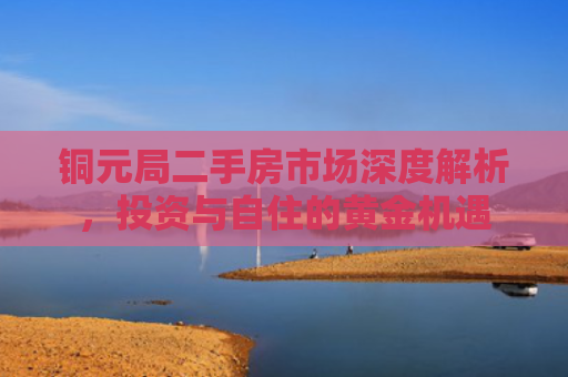 铜元局二手房市场深度解析，投资与自住的黄金机遇