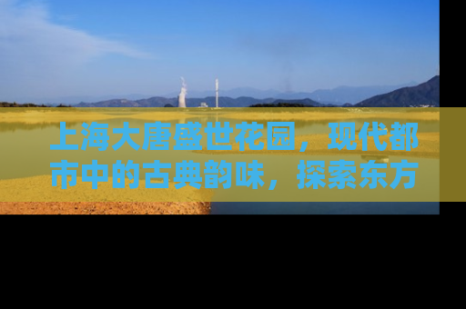 上海大唐盛世花园，现代都市中的古典韵味，探索东方美学与现代居住的完美融合