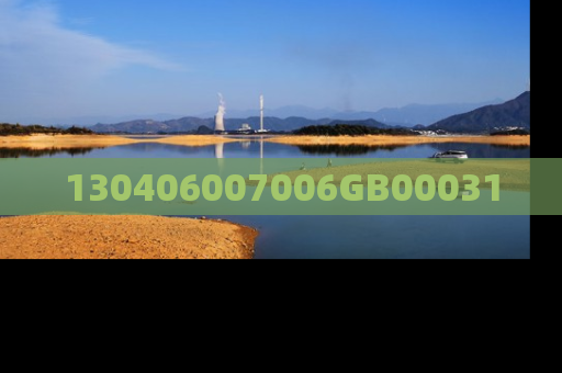 130406007006GB00031