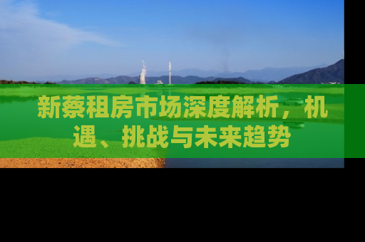 新蔡租房市场深度解析，机遇、挑战与未来趋势